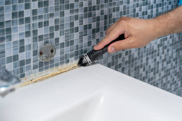 Best Black Mold Remediation in Bertram, TX